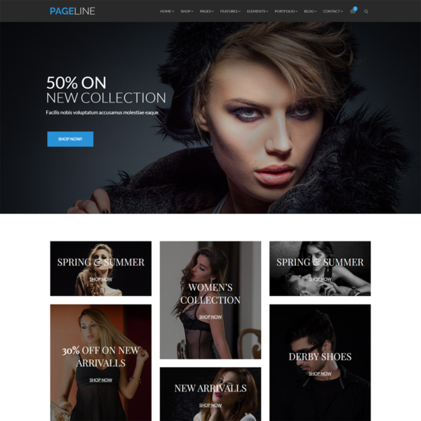 PageLine – Bootstrap Based Multi-Purpose HTML5 Template - Image 2