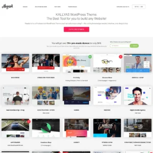 KALLYAS - Creative eCommerce Multi-Purpose WordPress Theme