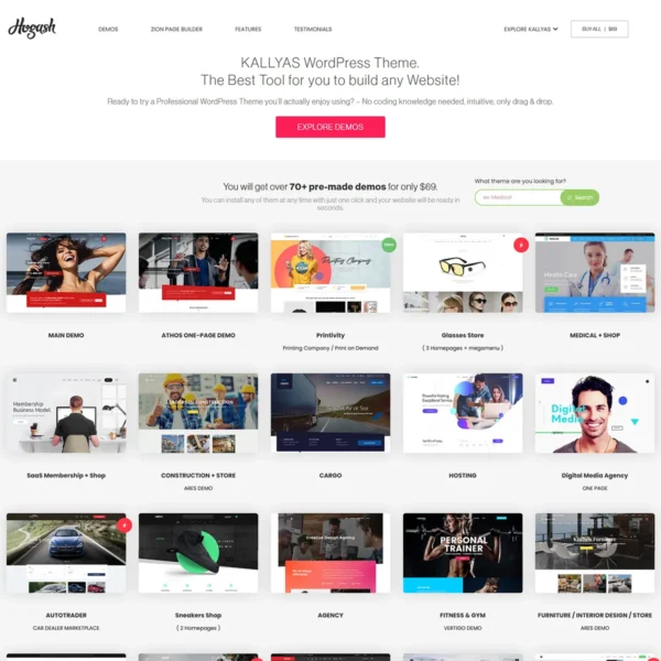 KALLYAS - Creative eCommerce Multi-Purpose WordPress Theme