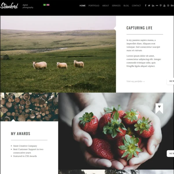 Stamford - Photography, Portfolio And Blog Joomla Template